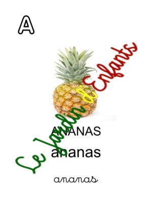"Français"
