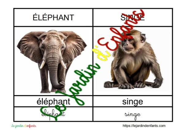 L'imagier des "Animaux" Français – Image 3