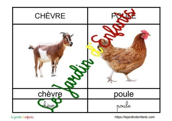 L'imagier des "Animaux" Français – Image 4