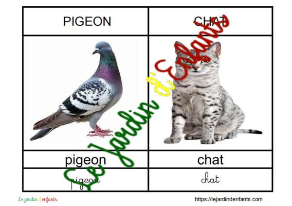 L'imagier des "Animaux" Français – Image 5