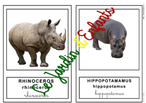L'imagier des "Animaux" Anglais à l'unité