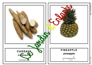 L'imagier des "Fruits et Légumes" Anglais à l'unité