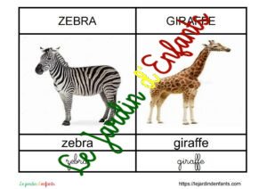 L'imagier des "Animaux" Anglais