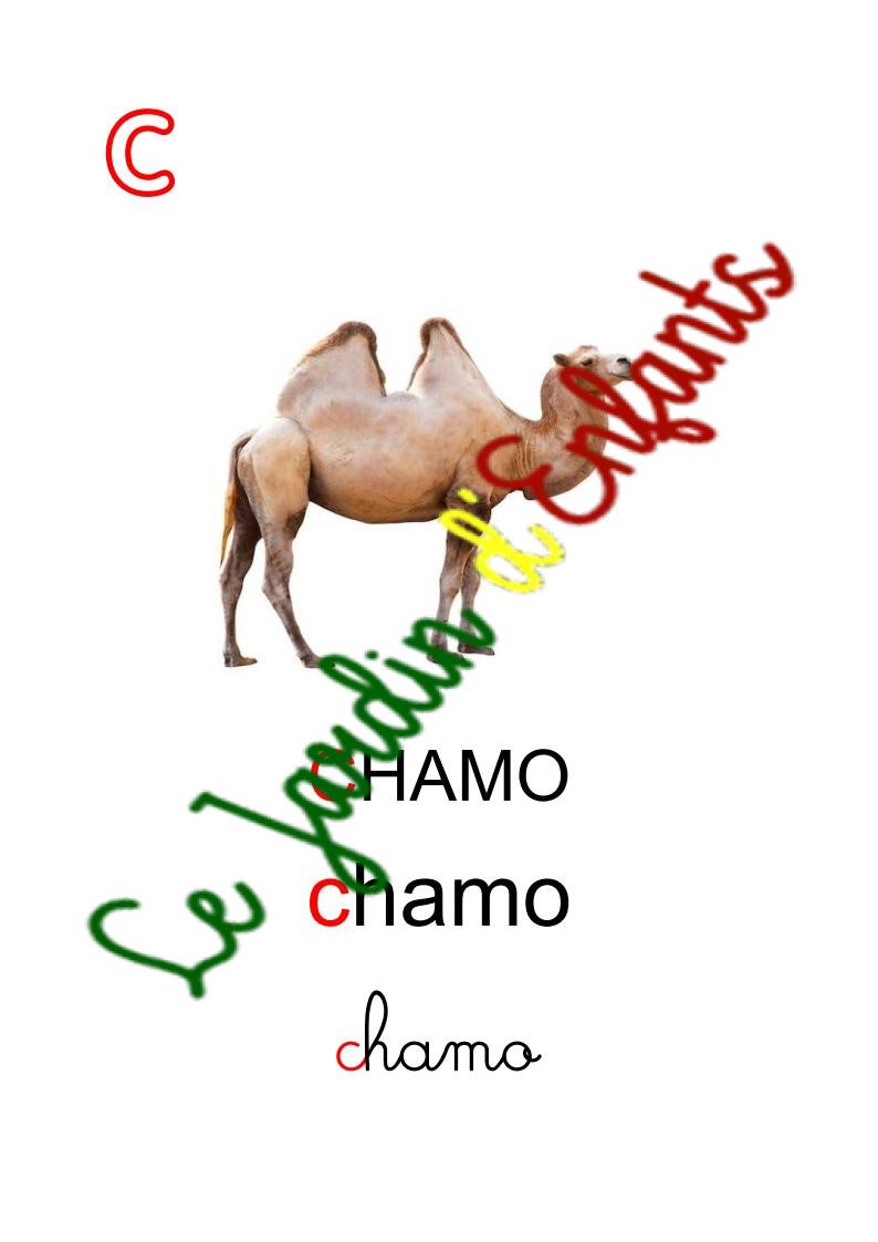 "Créole Haïtien" Initiale Rouge – Image 3