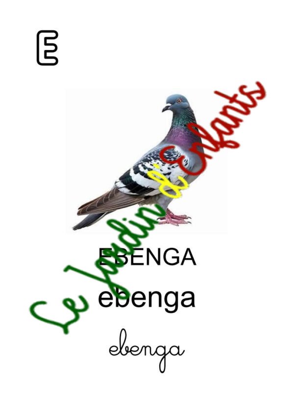 "Lingala" – Image 4