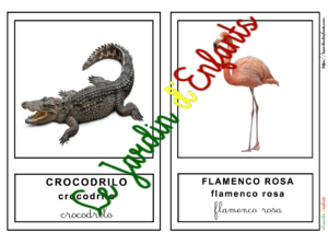 L'imagier des "Animaux" Espagnol à l'unité