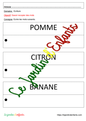 Ecriture "12 mots" MS-GS