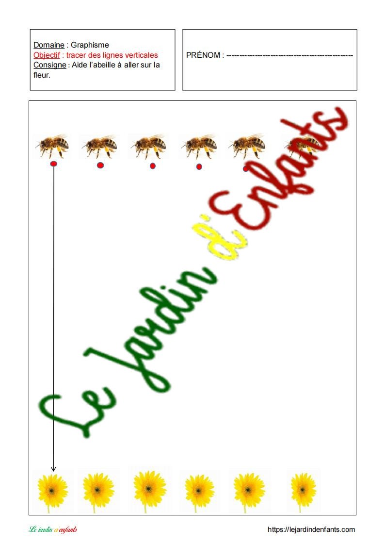 Les lignes verticales "Les abeille"s MS