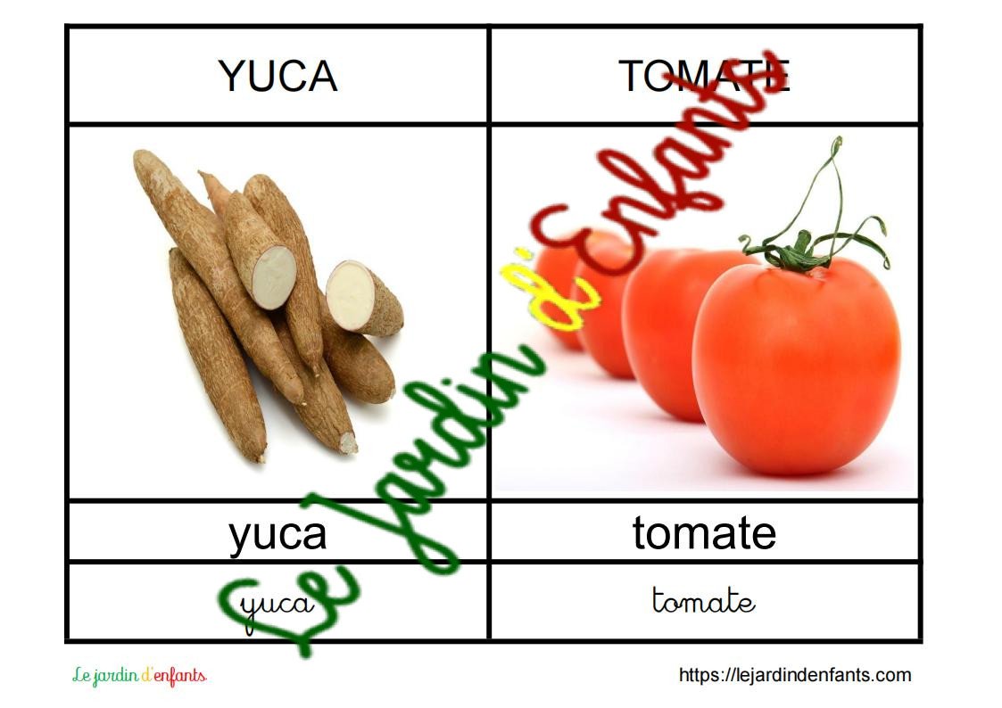 L'imagier des "Fruits et légumes" Espagnol – Image 3