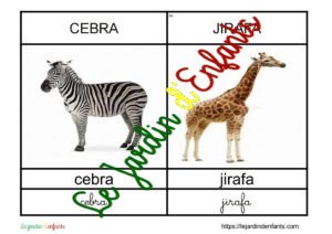 L'imagier des "Animaux" Espagnol