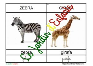 L'imagier des "Animaux" Portugais