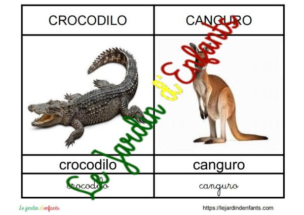 L'imagier des "Animaux" Portugais – Image 2