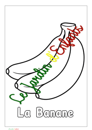 Fruits et Légumes "La banane"