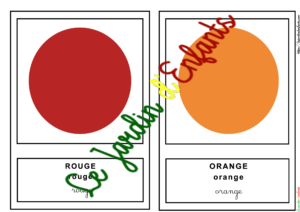 L'imagier des "Les couleurs" Français/3 écritures à l''unité
