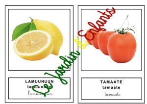 L'imagier des "Fruits et légumes" Peul à l'unité