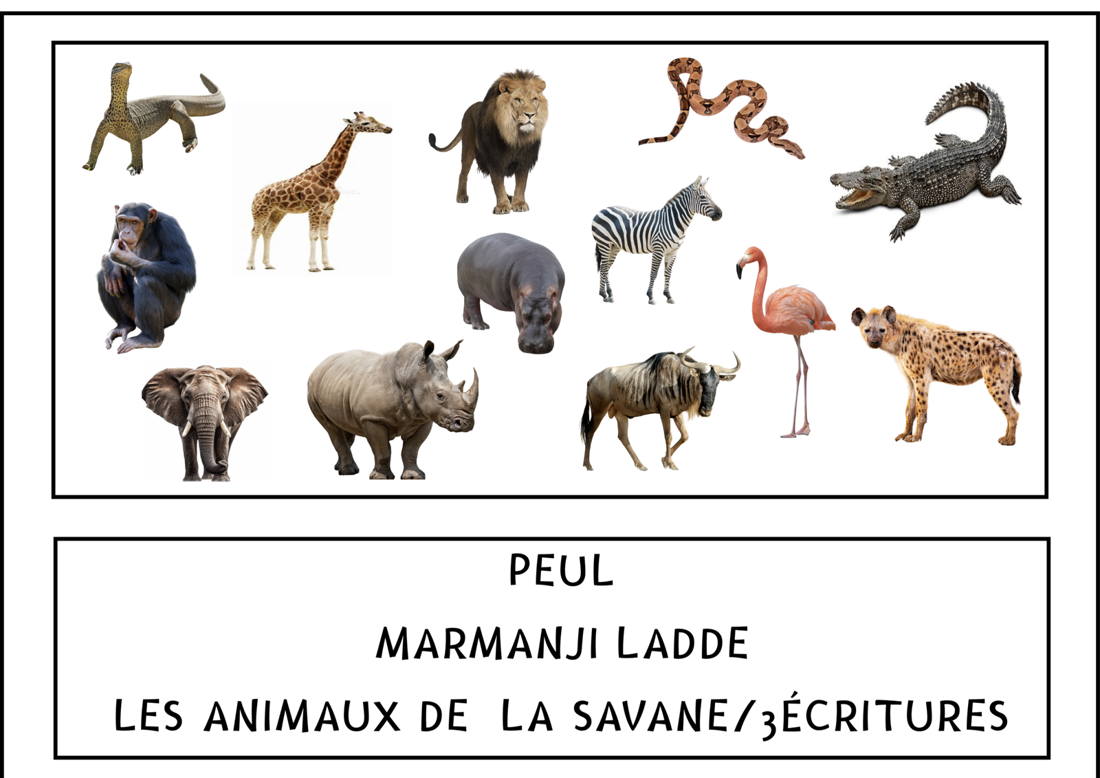 L'imagier des "Animaux de la savane" Peul/3 écritures
