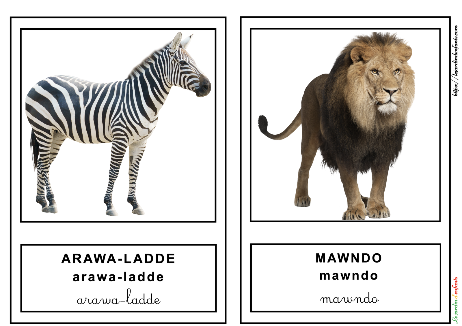 L'imagier des "Animaux de la savane" Peul/3 écritures – Image 3