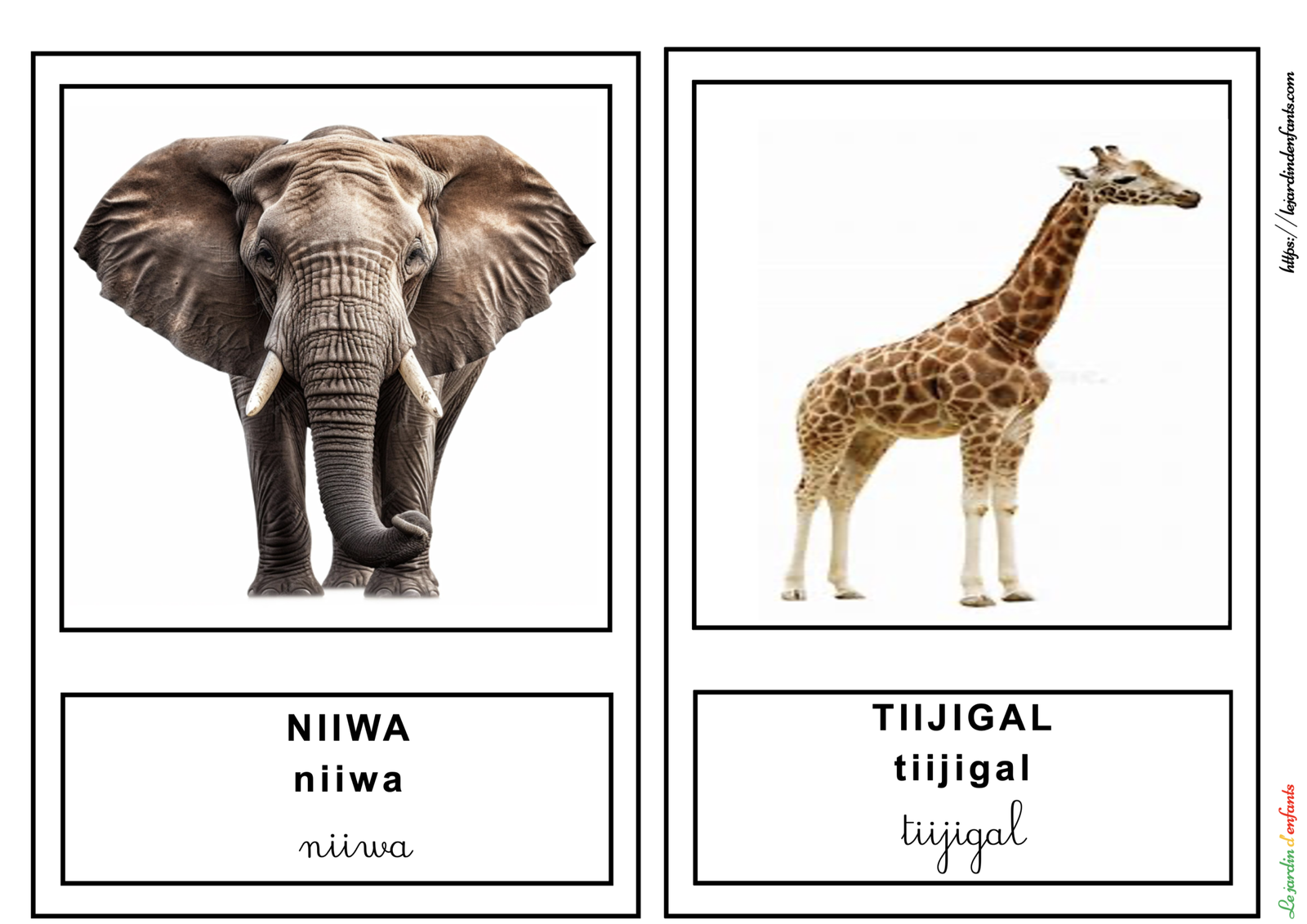 L'imagier des "Animaux de la savane" Peul/3 écritures – Image 4