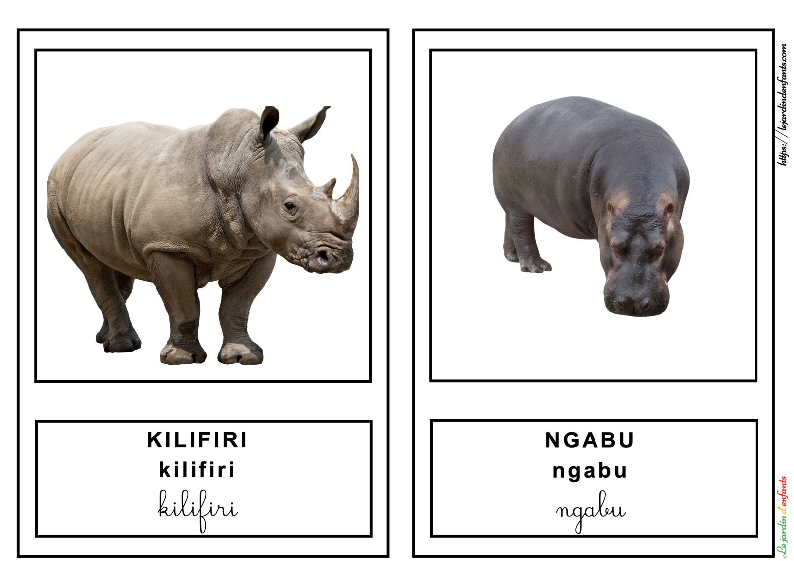 L'imagier des "Animaux de la savane" Peul/3 écritures – Image 5