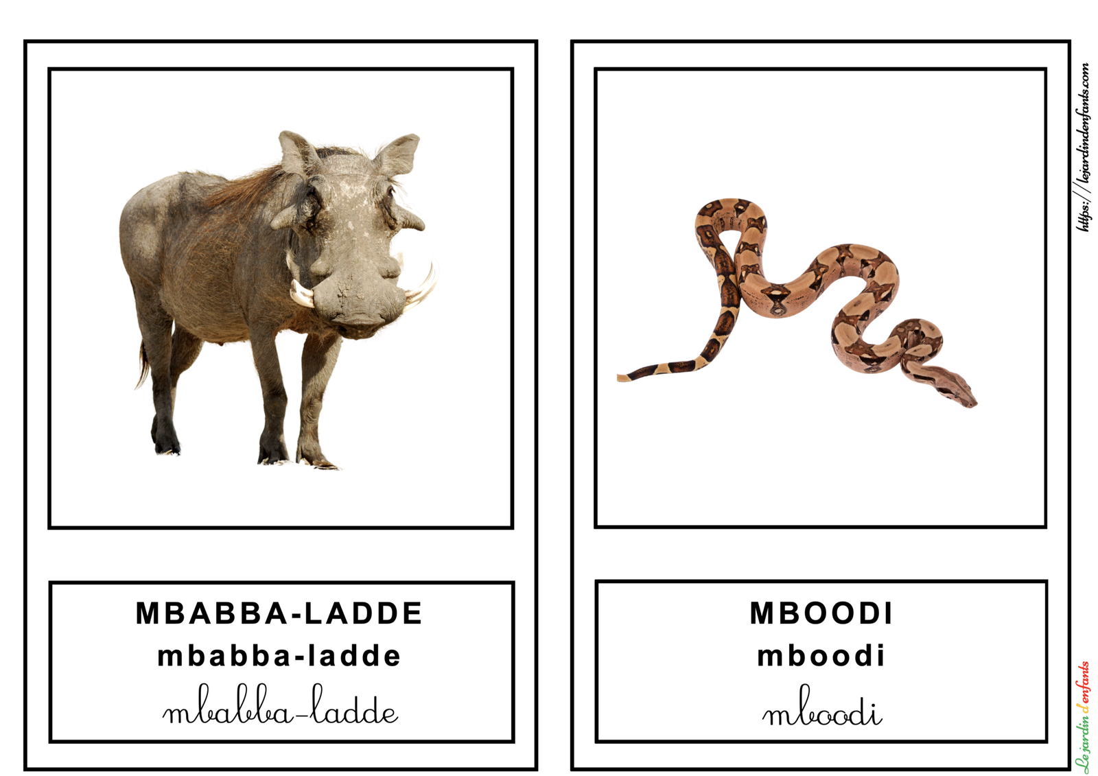 L'imagier des "Animaux de la savane" Peul/3 écritures – Image 7