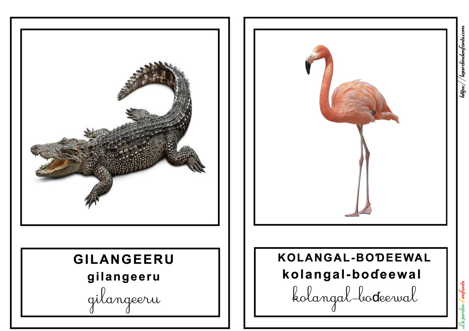 L'imagier des "Animaux de la savane" Peul/3 écritures – Image 8