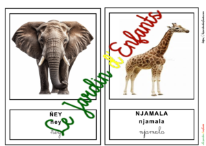L'imagier des "Animaux de la savane" Wolof à l'unité