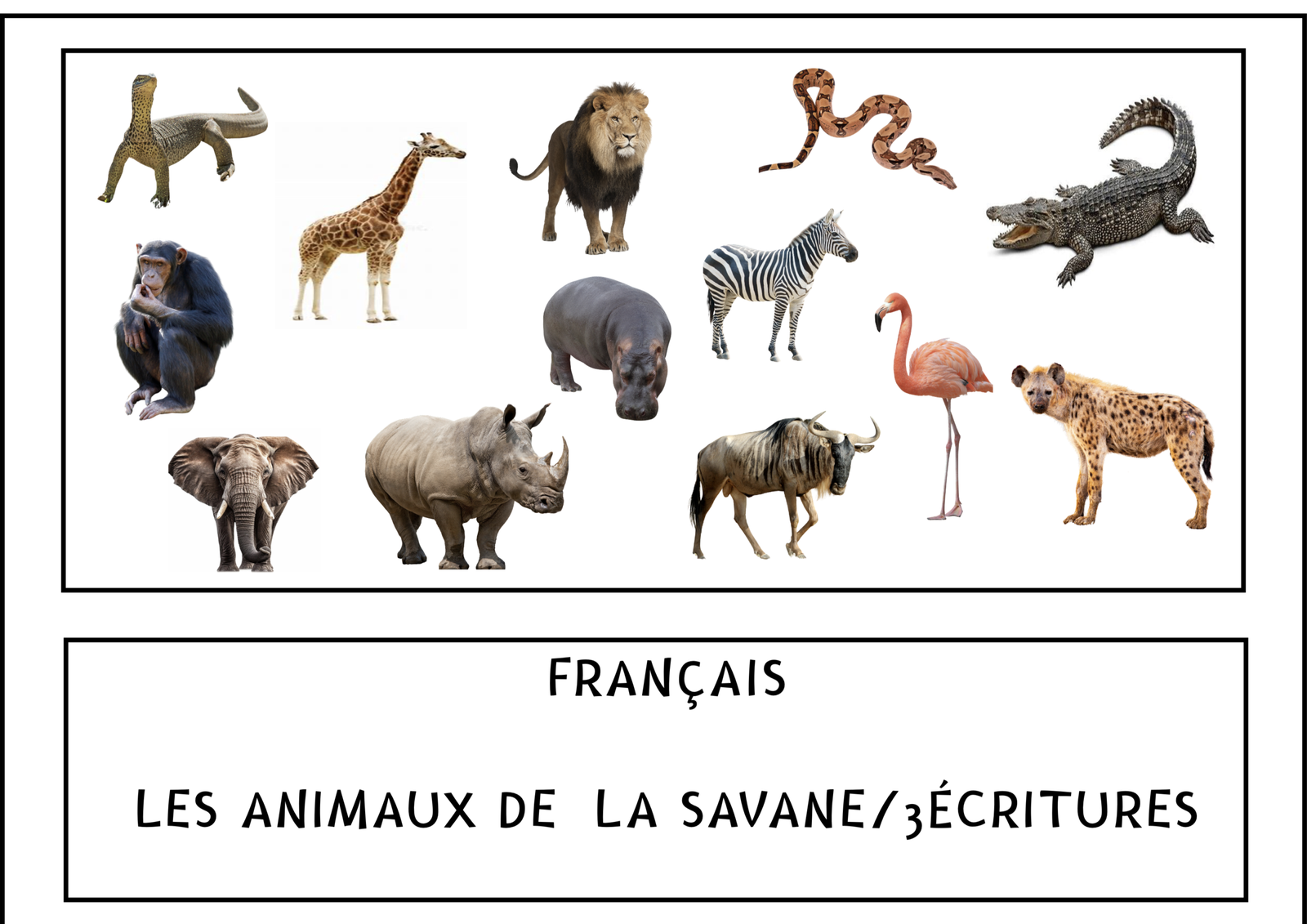 L'imagier des "Animaux" Français/3 écritures