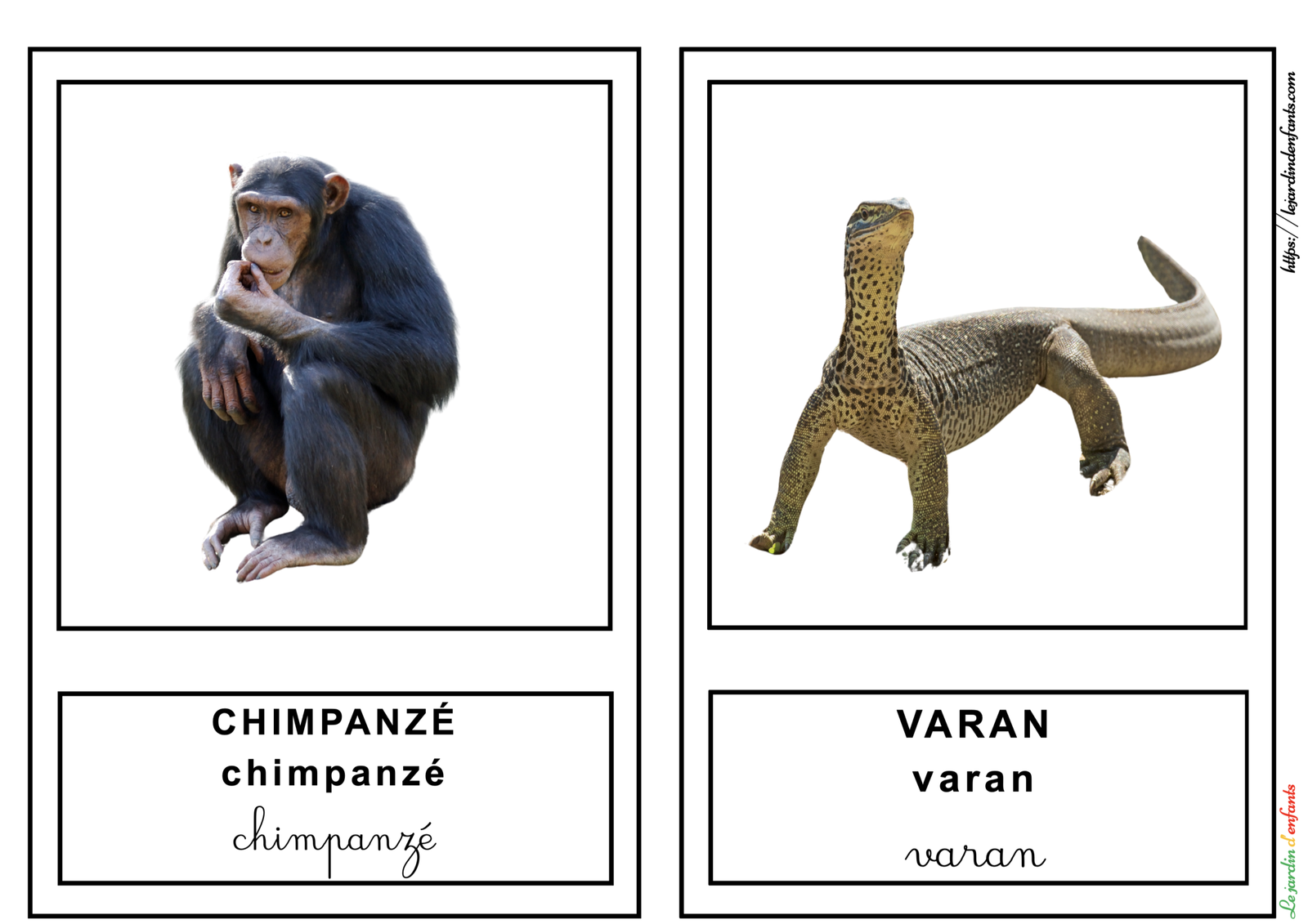 L'imagier des "Animaux" Français/3 écritures – Image 2