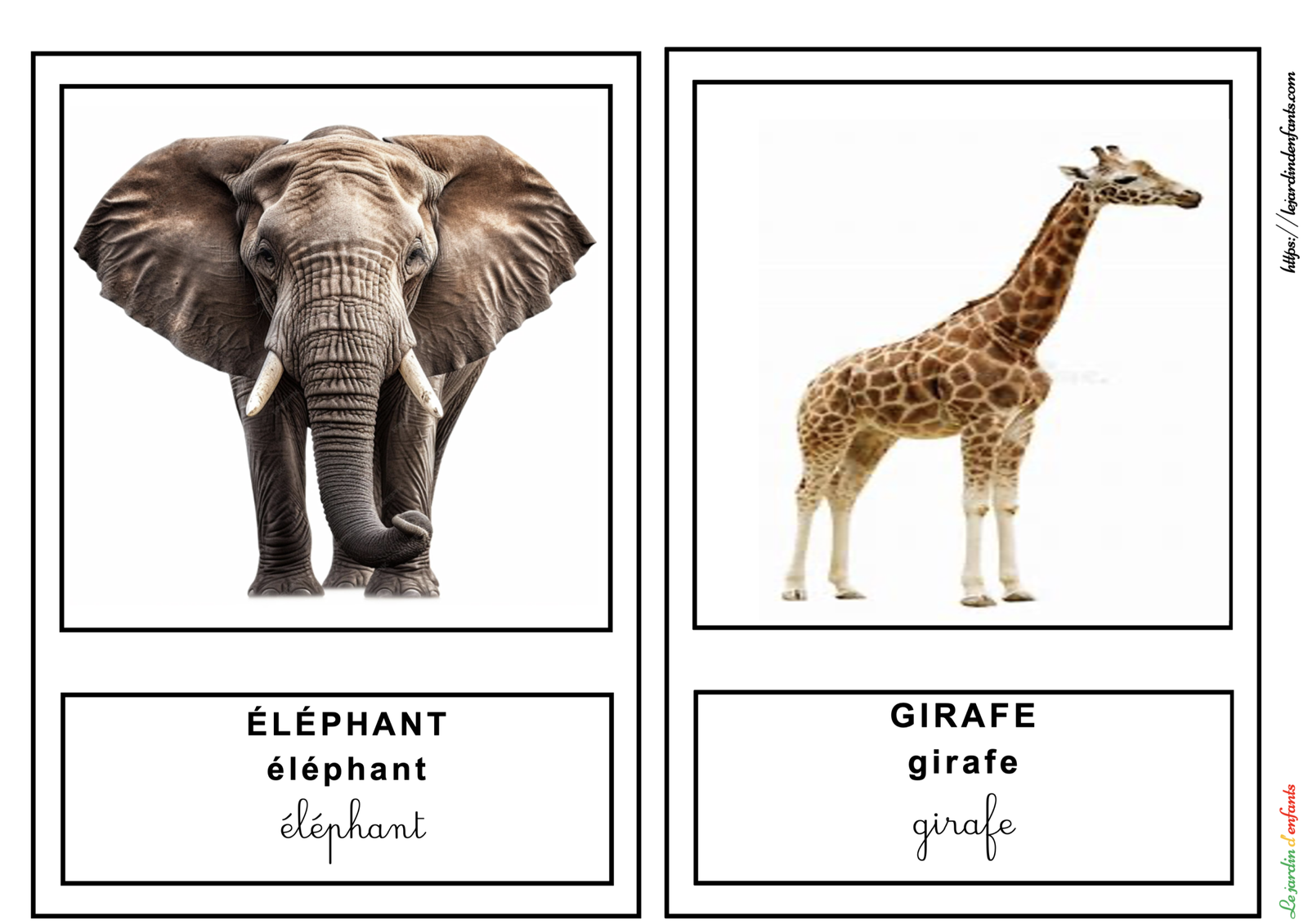 L'imagier des "Animaux" Français/3 écritures – Image 4