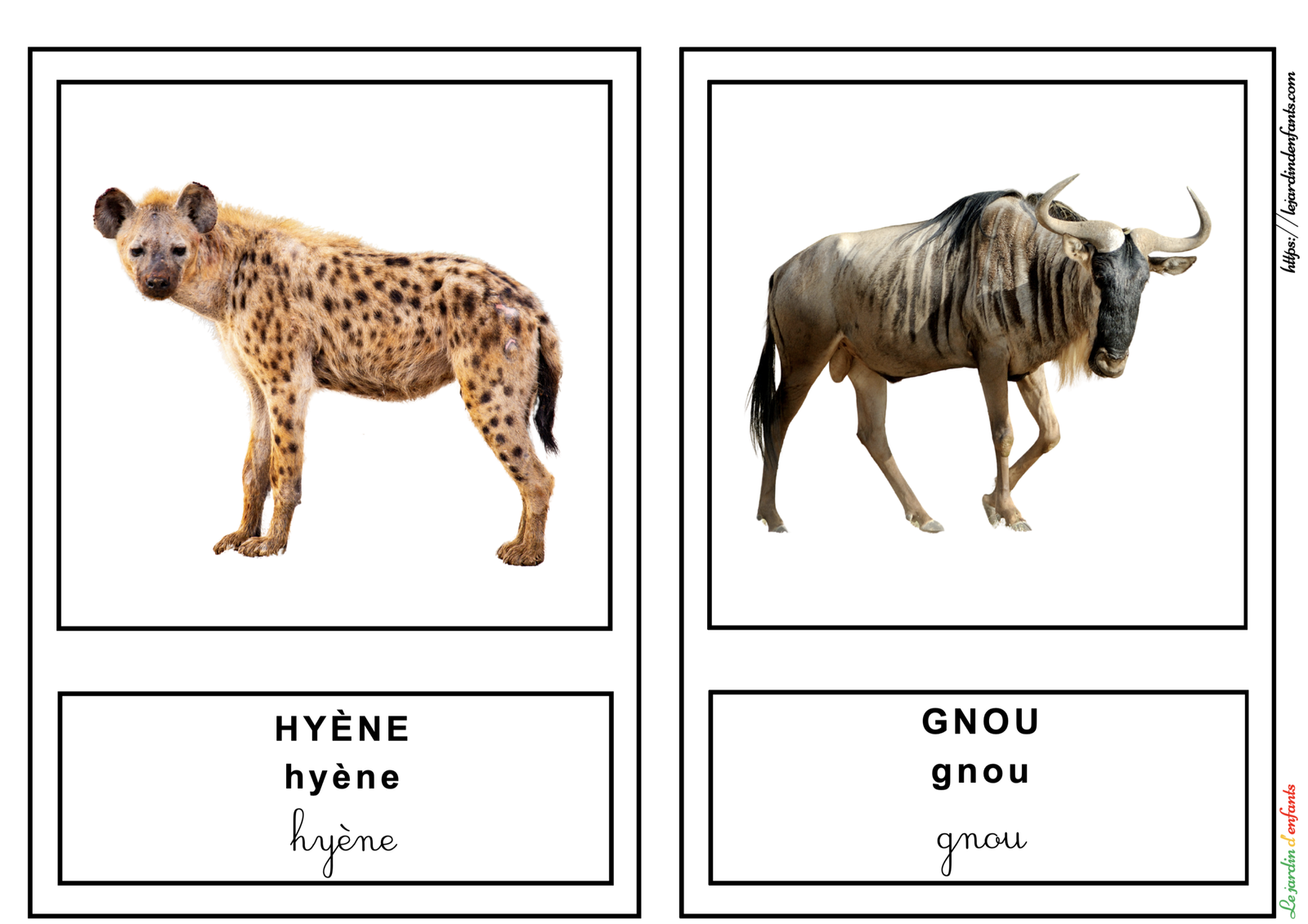 L'imagier des "Animaux" Français/3 écritures – Image 5