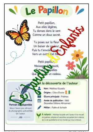 Le Papillon de Mathias Kouadio