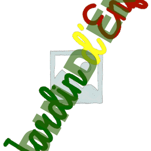 Texte indicatif
